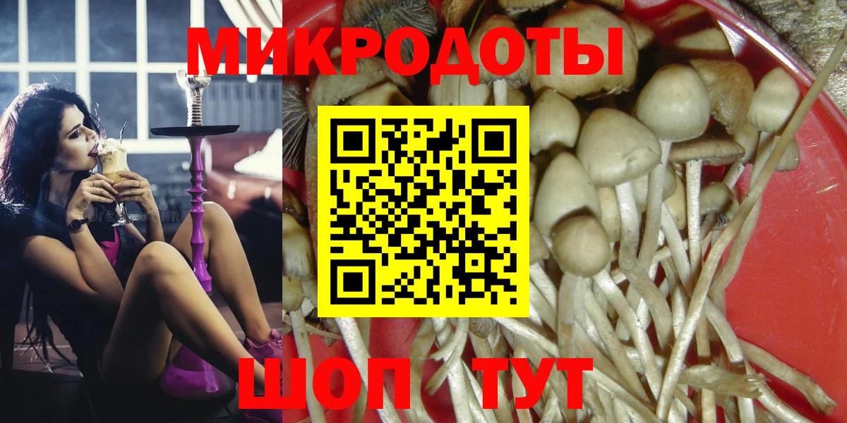 Галлюциногенные грибы Psilocybe  Вход с VPN  Сердобск 