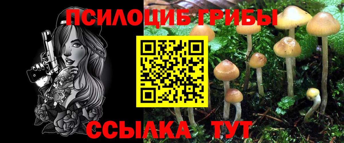 Псилоцибиновые грибы Cubensis Сердобск